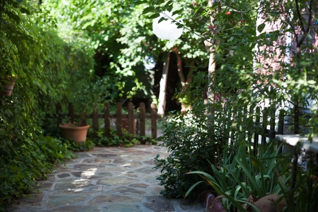 A planted yard supporting wildlife habitat. 