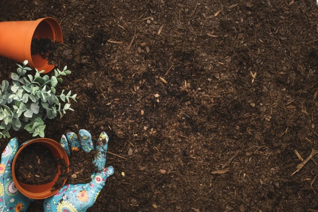 A person collecting soil for planting.