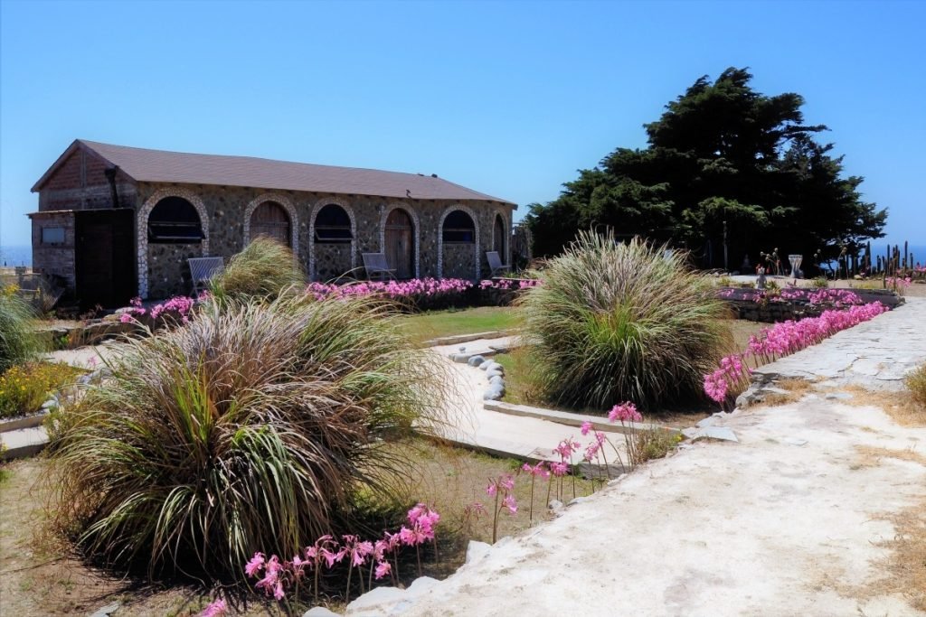 A xeriscaped yard.