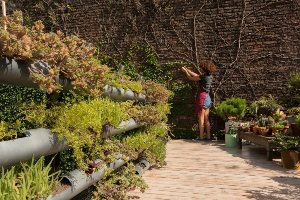 Woman taking care of plants in a yard.